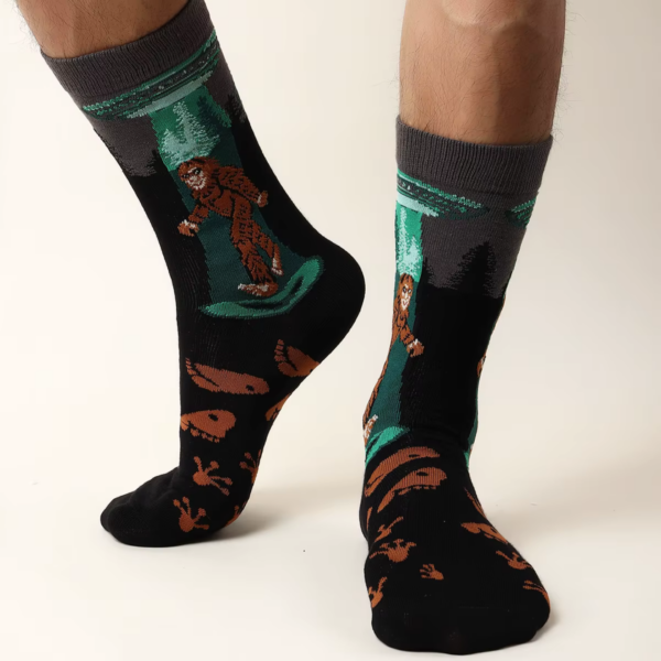 1 Pair: Abducted Sasquatch - Image 2