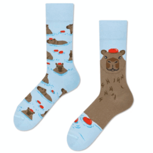 1 Pair: Capibara