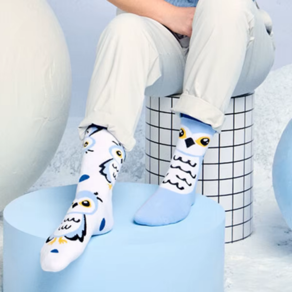 1 Pair: Cozy Owls - Image 3